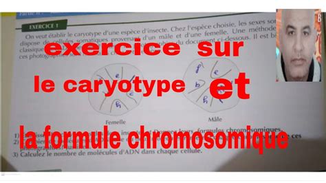 Exercice Sur Le Caryotype Et La Formule Chromosomique YouTube