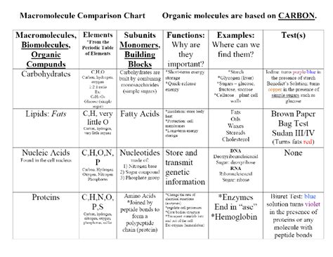 Macromolecule Comparison Chart Organic Bio201 Studocu