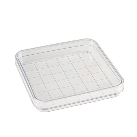 Square Petri Dish With Grid Lab Storage Systems Inc