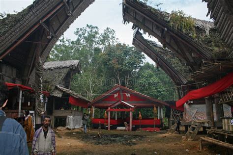 Toraja town editorial stock photo. Image of island, history - 138276778