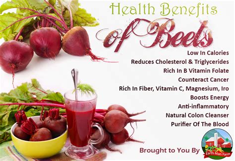 Health Benefits of Beets - Earth Man Farm