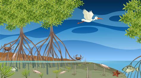 Animals live in mangrove forest at night scene 2672678 Vector Art at ...