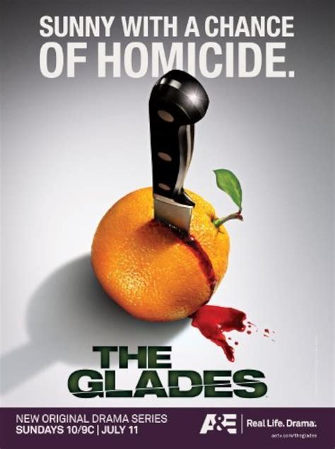 The Glades Tv Series 20102013 Imdb