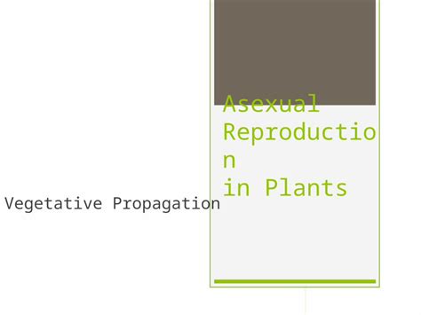 (PPTX) Asexual Reproduction in Plants Vegetative Propagation - DOKUMEN.TIPS