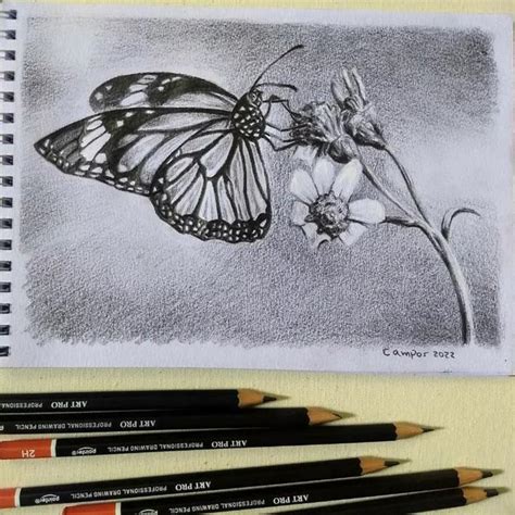 Actualizar Mariposas Monarcas Dibujos Muy Caliente Camera Edu Vn