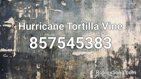 Hurricane Tortilla Vine Roblox Id Roblox Music Codes