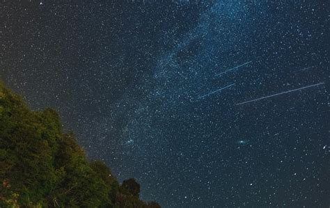 Perseidi Le Stelle Cadenti Delle Notti Destate MEDIA INAF