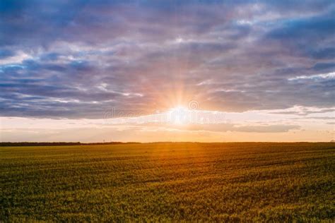 Sunset Sunrise Over Field Or Meadow Bright Dramatic Sky Over Ground