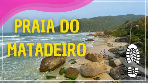 Trilha Para A Praia Do Matadeiro Florian Polis Sc Youtube