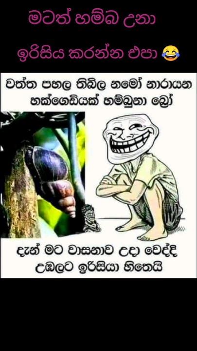 අලුත් අතල් පොස්ට් ටික හිනාවෙලා මැරෙන්න 😂 සස්ක්‍රයිබස් කරගෙන යමු