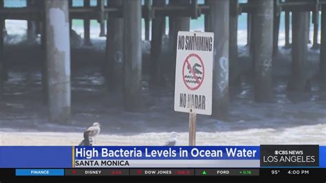 Experts Warn Beachgoers Of High Bacteria Levels In Ocean Water Youtube