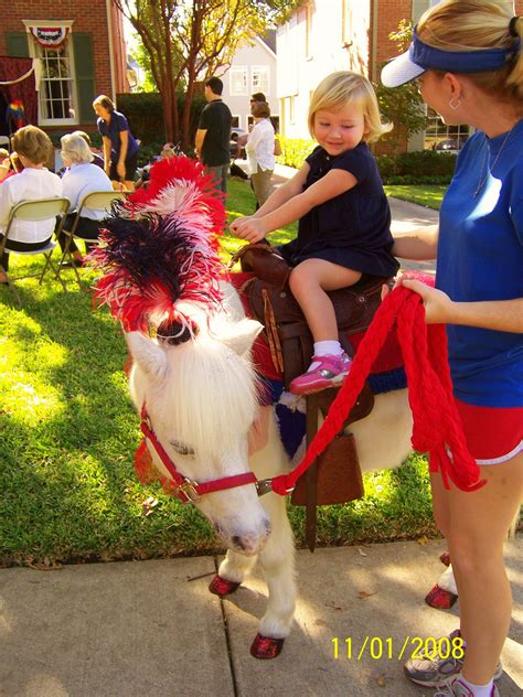 Pony Rides Dallas Petting Zoo Pony Party Dallas Tx Pony Petting