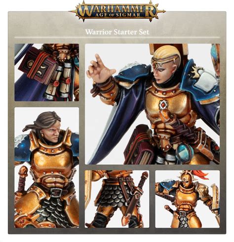 Warhammer Age Of Sigmar Set Introduttivo Guerriero Warhammer Reseller