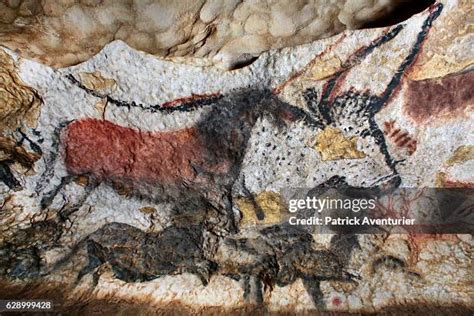 International Center Of Parietal Art Opens At The Foot Of The Hill Of Lascaux Photos and Premium ...