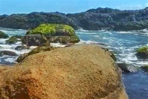 Kisah Mitos Pantai Watu Ulo Jember Legenda Aji Saka Dan Naga Raja