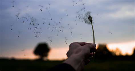 30 Best Songs About Wind And Windy Days