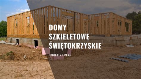 Domy Szkieletowe W Polsce Gotowe Projekty Projekt Dom