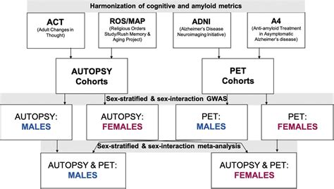 Sex Differences In The Genetic Architecture Underlying Resilience In Ad Eissman 2021