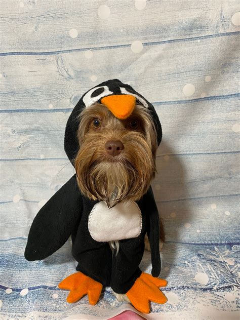 Adorable Penguin Dog Costume made for smaller breed dogs