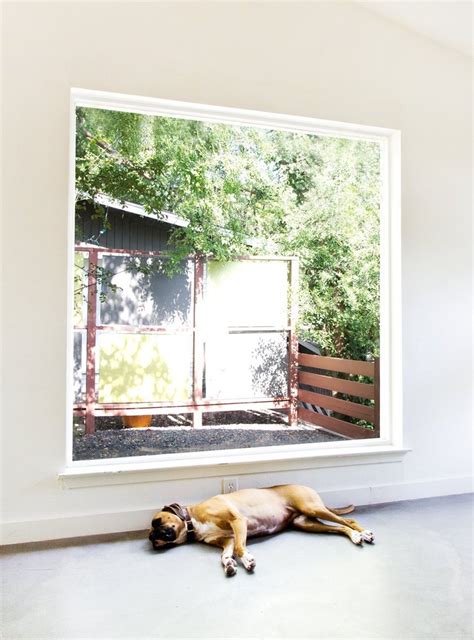 Dream House Big Dog Big Windows