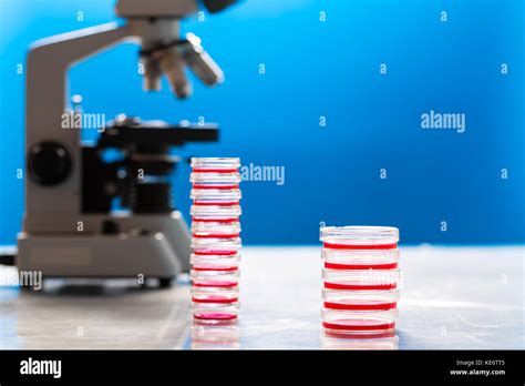 Identification Of Pathogenic Microbes And Viruses Stock Photo Alamy