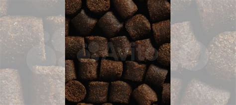 Корм для осетра Лимкорм 47/15 купить в Краснодаре | Животные и ...