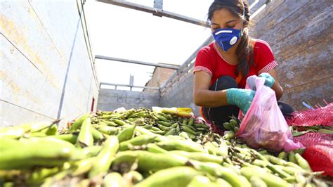 Midagri hoy ingresaron más de 9 mil toneladas de alimentos a los