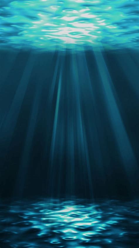 Whatsapp Wallpaper 105 Underwater Painting Underwater Photography