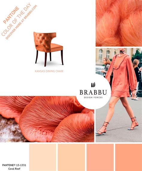 Pantonecolor Color Of The Day Coral Reef Mood Boards Color Trends