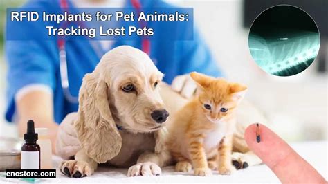 RFID Implants for Pet Animals: Tracking Lost Pets