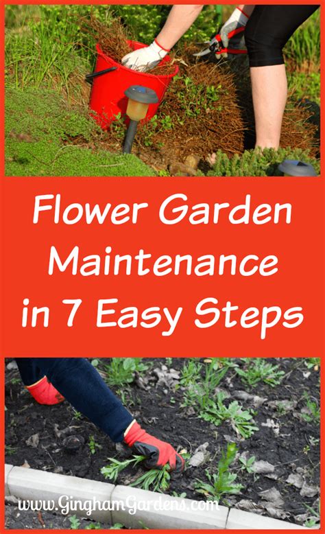 Flower Garden Maintenance Tips - Gingham Gardens