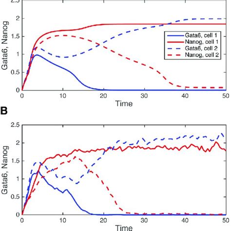 Deterministic A Versus Stochastic B Simulation Of The Gene Download Scientific Diagram