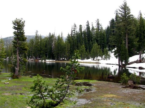 Ebbetts Pass Scenic Byway Sierra Nevada Photos