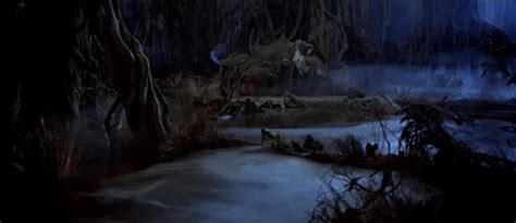 Dagobah Cave GIFs - Get the best GIF on GIPHY