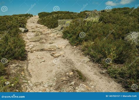 Trail Passing Through Rocky Terrain On Highlands Stock Image Image Of