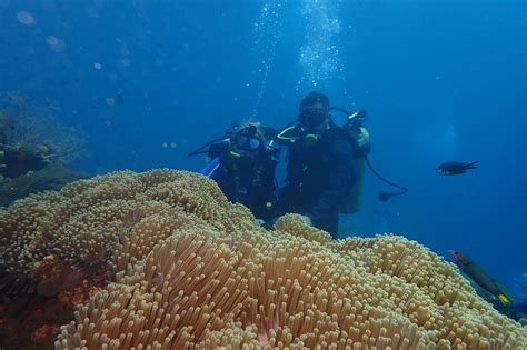 Uss Liberty Shipwreck Scuba Diving At Tulamben Bali Jimbaran