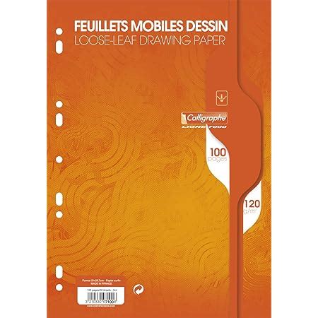 CANSON Pochette 12 feuilles de papier millimétré bistre A4 90g m²