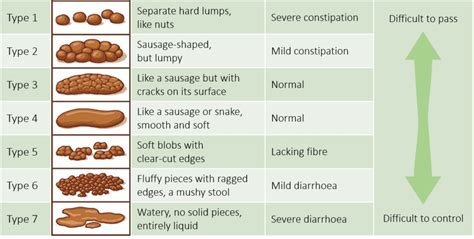 From stool to your digestive health - ageingray