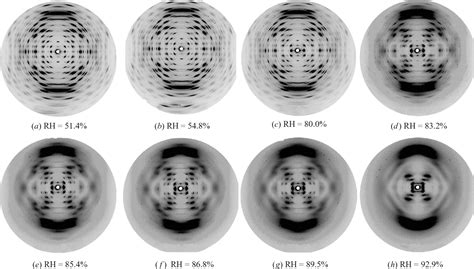 X Ray Diffraction Pattern Dna