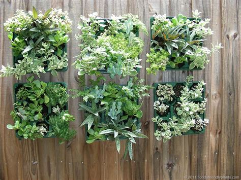 Create Indoor Succulent Garden - Best Garden Ideas