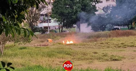 Homem Flagrado Ateando Fogo Em Terreno Baldio Pop Tv