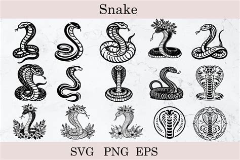 Snake Svg Bundle Floral Snake Svg Cobra Svg