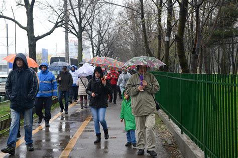 B Trilema Primarului Ciucu N Fa A Dalelor Pentru Un Trotuar Care