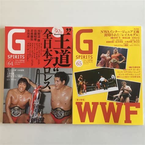 【目立った傷や汚れなし】最新刊 G Spirits プロレス専門誌 Gスピリッツ Vol65 64 Wwf 全日本プロレス 藤波辰爾 ハルク