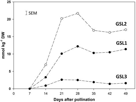 Glucosinolate Gsl Gsl And Gsl Contents During The Seed