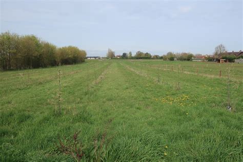 Expanded Orchard South Of Over Hugh Venables Cc By Sa Geograph