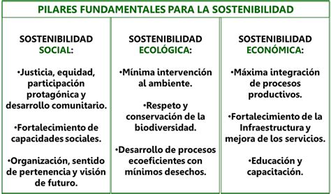 ¿por Qué Optar Por La Sostenibilidad Y La Eficiencia Energética