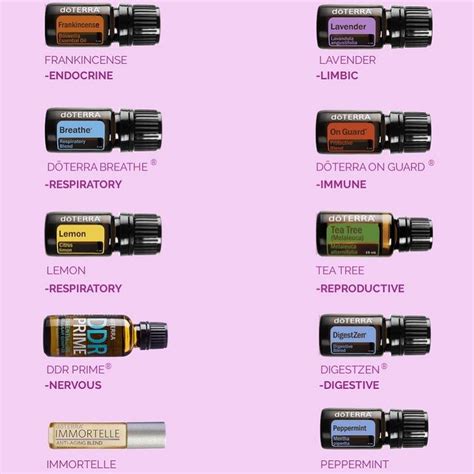 Do You Want To Learn More About How Different D Terra Essential Oils