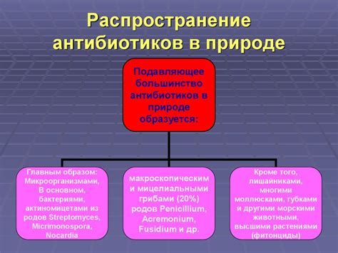 Без боли и инфекций. Химия антибиотиков - презентация онлайн