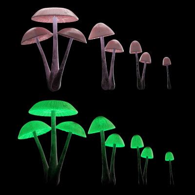 Bioluminescent Mushrooms - 3D Model by CGZen